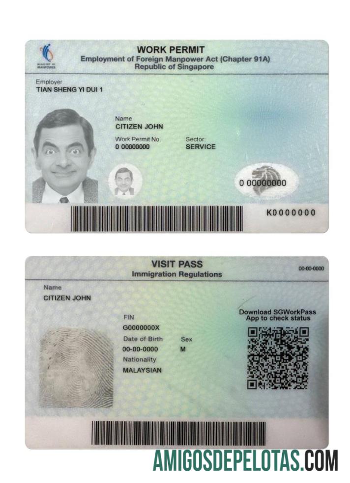 Permissão de trabalho em Singapura exemplo